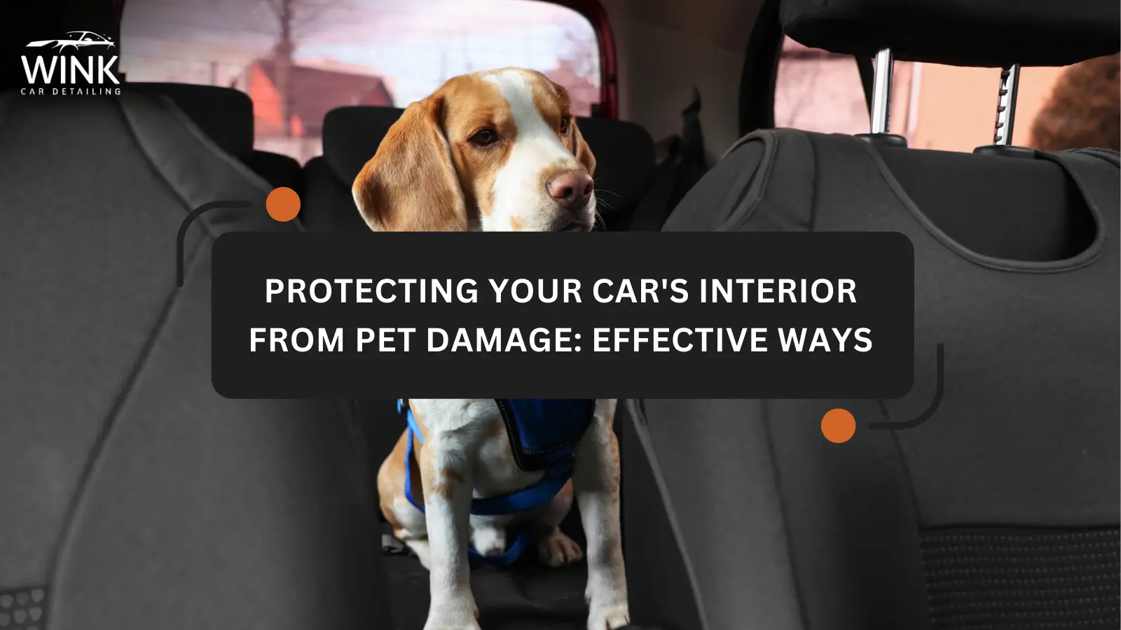 PROTECTING YOUR CAR'S INTERIOR FROM PET DAMAGE: EFFECTIVE WAYS